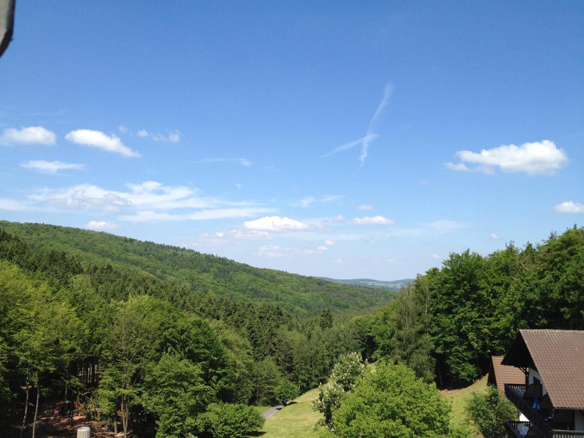 Wald-Hotel Heppe Dammbach Exterior foto