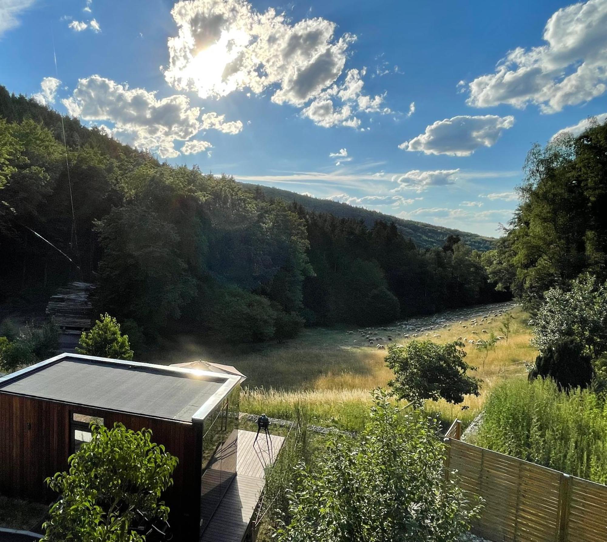 Wald-Hotel Heppe Dammbach Exterior foto